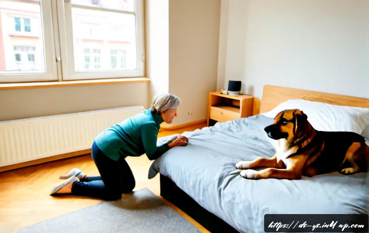 Konflikte mit Tieren und anderen Lebewesen lösen: Sicher handeln, Grenzen respektieren 3 비인간 생명체와의 관계에서의 갈등 해결 방법 관련 이미지 1